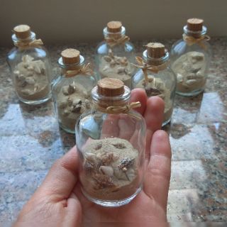 Sand & Seashell Bottles for souvenirs