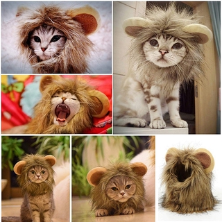 Halloween Costumes Christmas Funny Clothes For Cats Lion Mane Cat Costume Lion Hair Wig Cap Dog Cost (5)