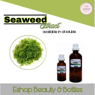 Seaweed Extract_natural (oil soluble)