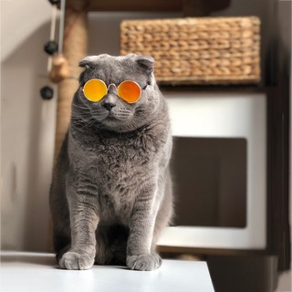【Ready stock】Pet Products Lovely Vintage Round Cat Sunglasses Reflection Eye wear glasses