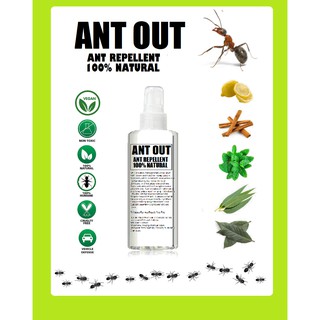Ant Out Natural Ant Repellent spray 100% natural non toxic chemical free formula