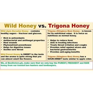Raw and Wild Honey (Dorsata and Trigona Honey Set)