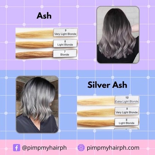 Sunbright Ash Hair Color Set (3)