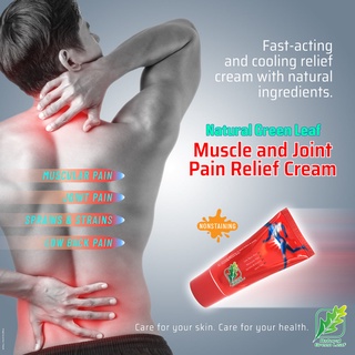 Natural Green Leaf For Smooth Muscular & Joint Aches & Pain 20G Cream50
