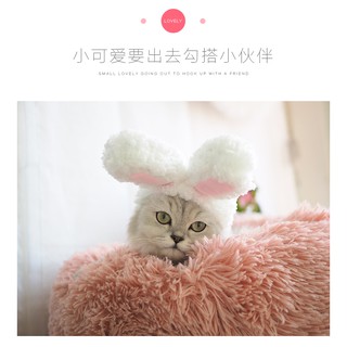 Pet HatsCute Rabbit Headgear Cat Headgear Pet Costume Cat Headwear Dog Headgear Pet Hat Teddy Rabbit