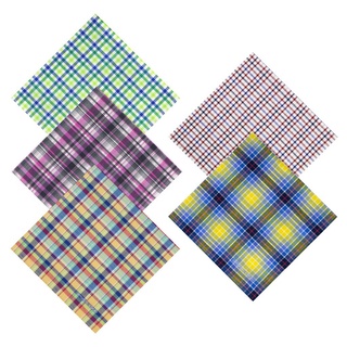 hot sale Armando Caruso Checkered Handkerchiefs Set D