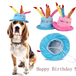✶㍿✹Pet Cat Dog Happy Birthday Hat Cake Amp Candles Design Party