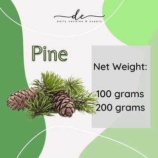 Daily Candles | PINE FRAGRANCE OIL for Candle and Soap Making (Oil-Based)