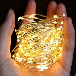 LED string lights/family Christmas wedding decoration/silver wire fairy lights 3M/via USB-Besla