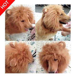 vlth0e Pet Costume Lion Mane Wig with Ears for Dog Cat Halloween Clothes Fancy Dress up 3L6n