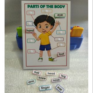 Kids Laminated Activity Sheet with Velcro Parts of the Body