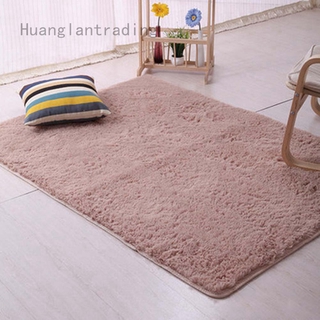 Huanglantrading Non Slip Shaggy Area Rug Living Room Bedroom Carpet Hallway Runner 40cm*60cm