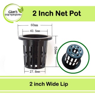 Netpot 2 inch (wide lip)