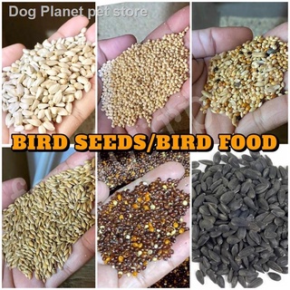 ♨African, Canary, Canary Mix, Sunflower, Safflower, Bird Seed, Red Millet, Black Millet - Bird Food