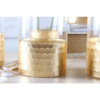 Nordic Gold Honeycomb Glass Vase Transparent Straight Soft Decoration