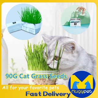 Cat Grass Soilless Culture Kit Grass Seeds with Paper Bag Help Cats Toys (1)