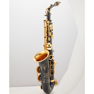 ❆Aisiweier Eb Alto Saxophone New Arrival Brass black and Gold Lacquer Music Instrument E-flat Sax wi