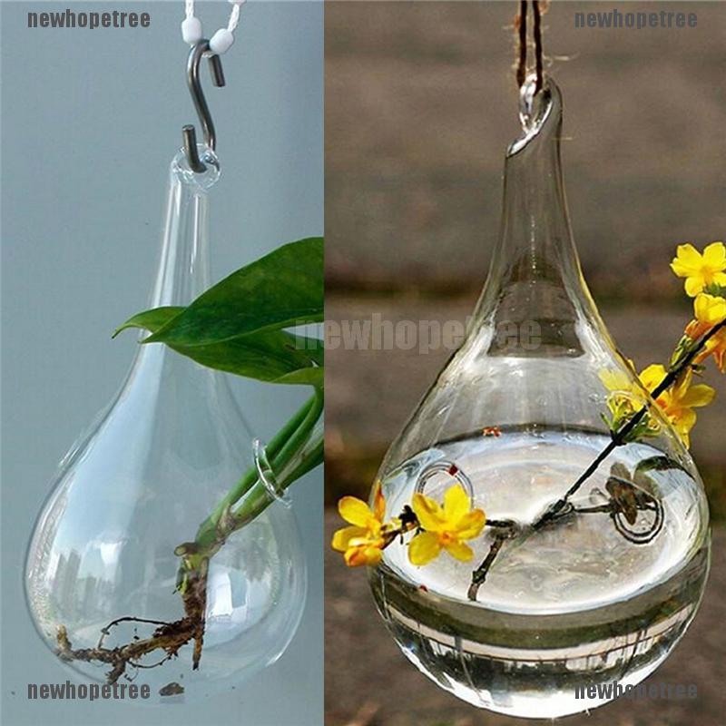 NTPH Glass Hanging Vase Flower Planter Container Pot home Decor FAD