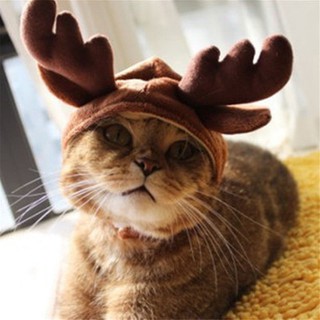 Cap Hat Dog Pet Reindeer Costume Christmas Cat (2)