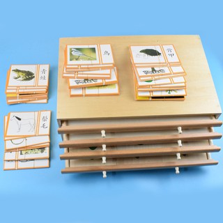 ۞♨◊Professional version of leaf panel cabinet Montessori teaching aids children s Montessori kinderg
