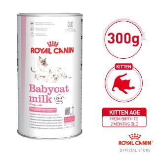 Royal Canin BabyCat Milk (300g) (1)