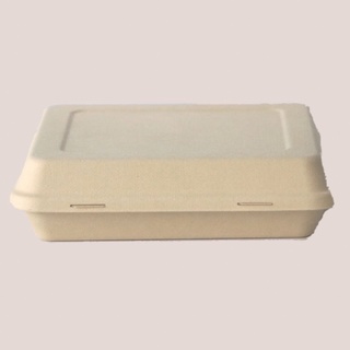 9-inch Square Box Sugarcane with lid