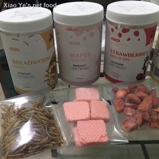 △☬Hamster, Guinea pigs Food Treats & Accessories | Budget friendly packs (7)