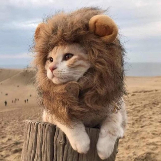 Halloween Costumes Christmas Funny Clothes For Cats Lion Mane Cat Costume Lion Hair Wig Cap Dog Cost (1)
