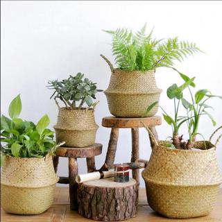 【Loveinhouse】Seagrass Wickerwork Basket Rattan Foldable Hanging Flower Pot Planter Woven Dirty Laundry Basket Storage