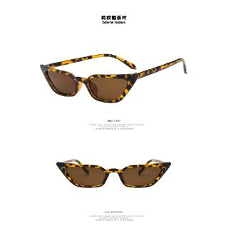 Fashion Cat Eye Sunglasses Transparent Small Frame Sunglasses (6)