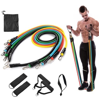 Resistance Bands Set (11pcs) Physical Therapy,Residence Training
