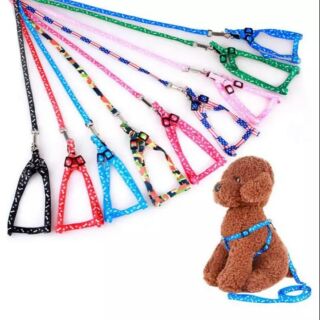 Dog Leash Harness Set for Small Dogs Cat Pets Puppy