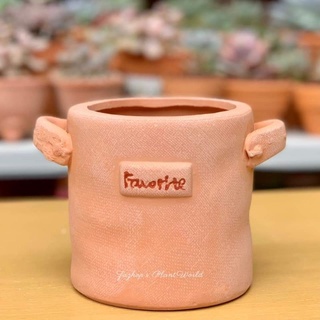 Favorite Jar (Terracotta Clay Pot) for succulents, cacti, aloes, haworthias and ornamental plants