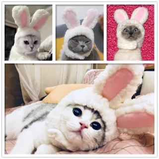 【Ready Stock】▧Cat Bunny Rabbit Ears Hat Cap Pet Cosplay Costumes for Cat