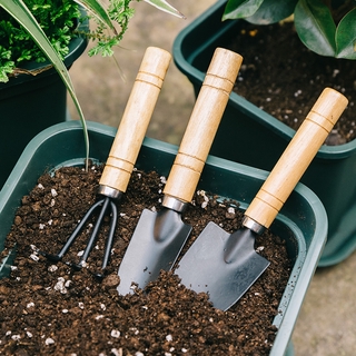 Three-piece Mini Household Shovel Set/Potted Plants Spade Planting Flowers And Gardening Succulents Tools/Wooden Handle Lron Rake Shovel