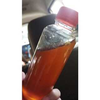 Pure Forest Honey / Pure Honey / Original Honey / Wild Forest Bee Wasp Honey