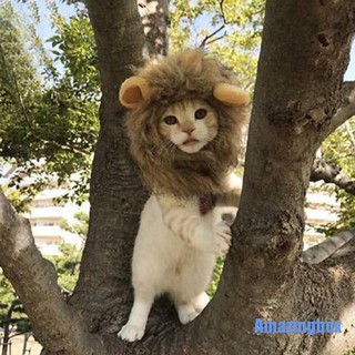 【Ready Stock】✓[Amazingbox] Pet dog hat costume lion mane wig for cat halloween dress up with ears