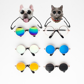 pet EyewearCat Glasses Pet Cat Funny Dog Sunglasses Photo Douyin Online Influencer Jarre Aero Bull T