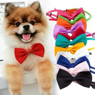 Pet Dog Bow Tie Pet Dog Cat Collar Dog Accessory Cat Puppy Bow Tie Dog