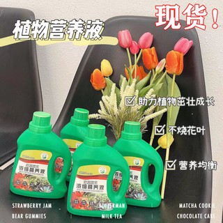 Plant Nutrient Solution Potted Plant Green Radish Lucky Bamboo Universal Soil Hydroponic Flower Fer