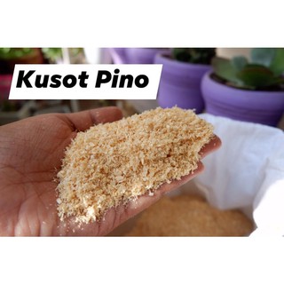 Sawdust (Kusot Pino) Best Alternative For Cat Litter 5KG
