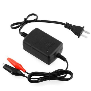Smart Fast Motorcycle Battery Charger