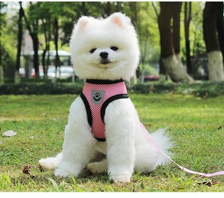 Cute Cat Dog Harness Puppy Fashion Mesh Vest + Leash Lead Set (9)