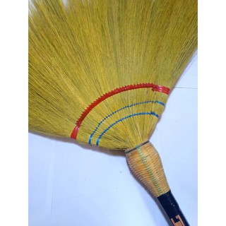 Baguio Buslo Walis Tambo/ Soft Broom