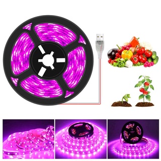 [Ready Stock]LED Plant Grow Light Strip Full Spectrum Phyto Lamps 2835 For Greenhouse Hydroponic Plant Flower (1)