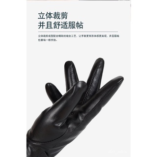 Men's Leather Gloves Winter Cycling Warm Waterproof Windproof Fleece Thickened Korean Style Gloves M (7)