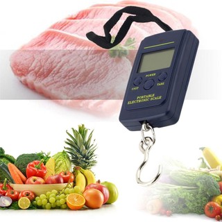 40kg Portable Digital Hanging Fishing and Luggage Scale (1)