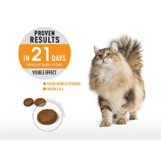 Royal Canin Hair & Skin (10kg) - Feline Care Nutrition (5)