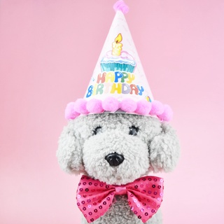 Pet Cat Dog Happy Birthday Party Crown Hat Puppy Bib Collar Cap Headwear Costume (4)