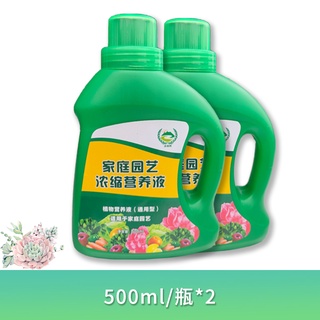 Potted Universal Green Radish Nutrient Solution Flower Fertilizer Household Hydroponic Plant Lucky B